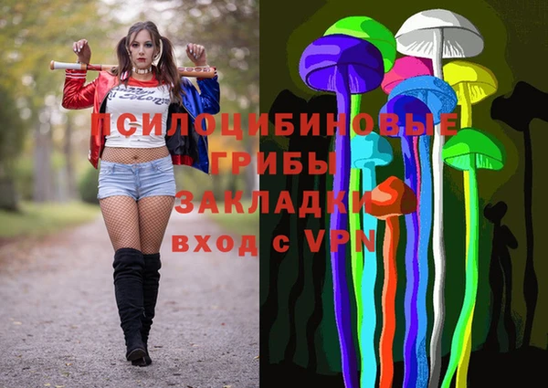 бошки Зеленокумск