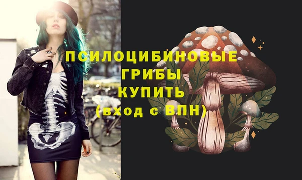бошки Зеленокумск