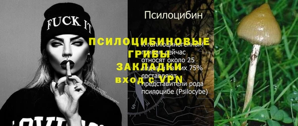 стаф Зеленодольск