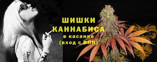 стаф Зеленодольск