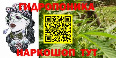 круглые Лесосибирск
