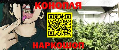 круглые Лесосибирск
