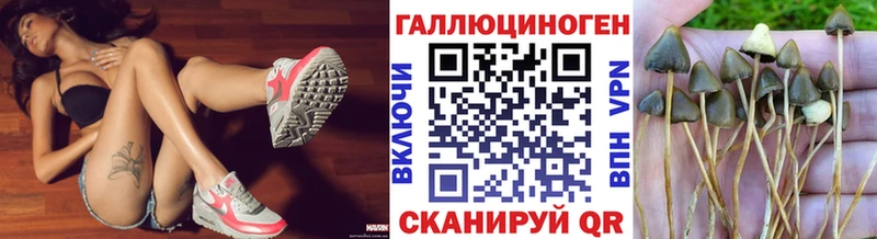 хочу наркоту  Старая Купавна  Псилоцибиновые грибы мухоморы 